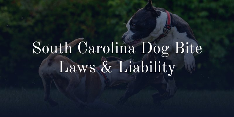 South Carolina Dog Bite Laws & Liability