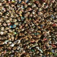 CrowdCrush